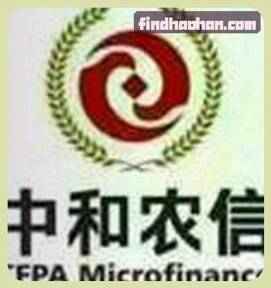刘洋
